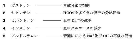 解説画像